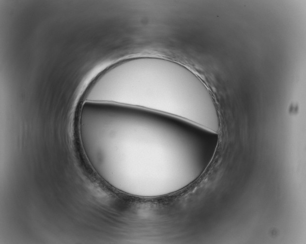 X0000102360200200808011007