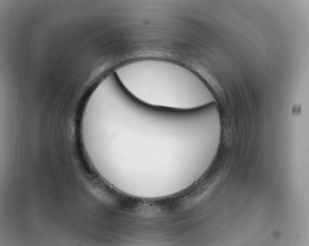 X0000102360207200808011007