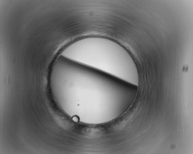 X0000102360208200808011007