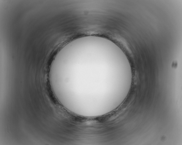 X0000102360210200808011007