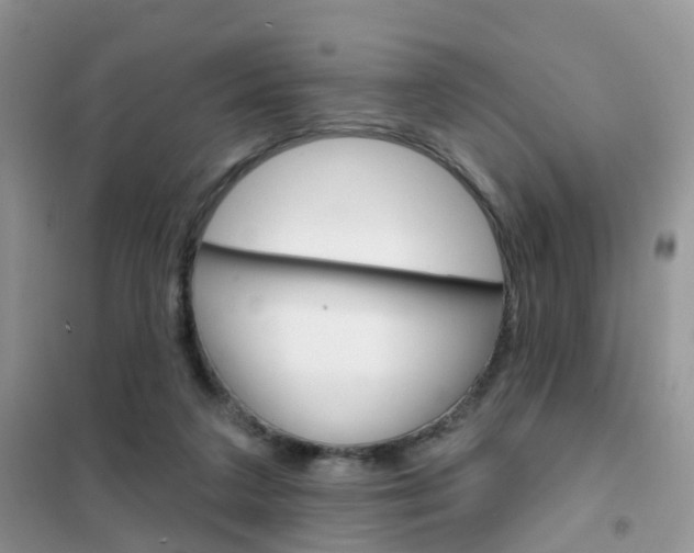 X0000102360211200808011007