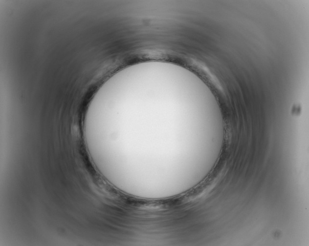 X0000102360213200808011007