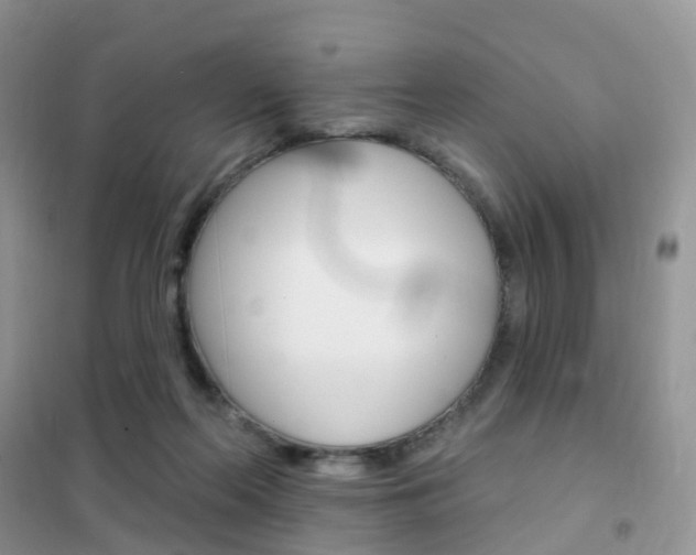 X0000102360214200808011007