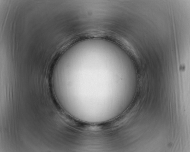 X0000102360217200808011007