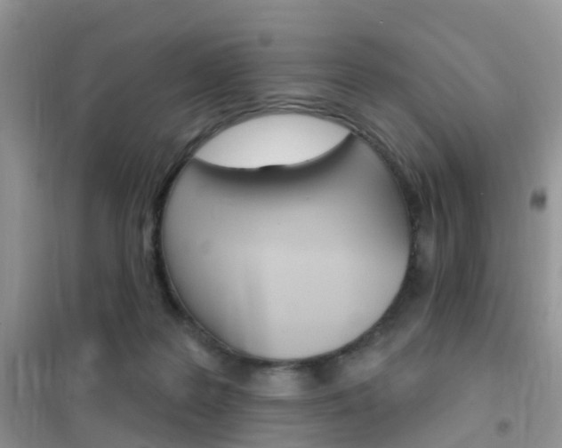 X0000102360219200808011007