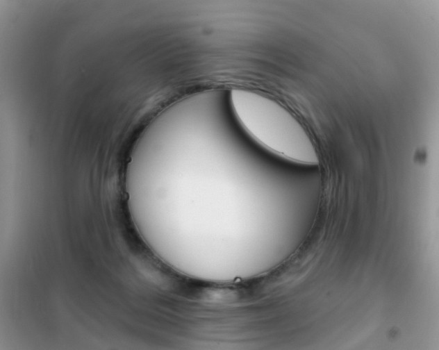 X0000102360220200808011007