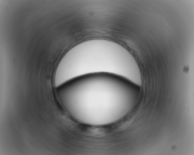 X0000102360221200808011007