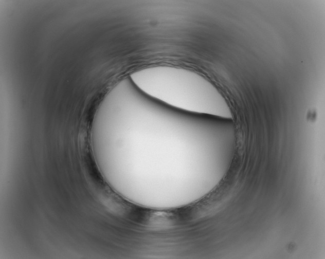 X0000102360222200808011007