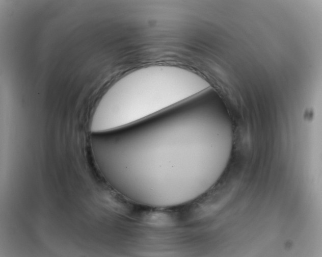 X0000102360224200808011007