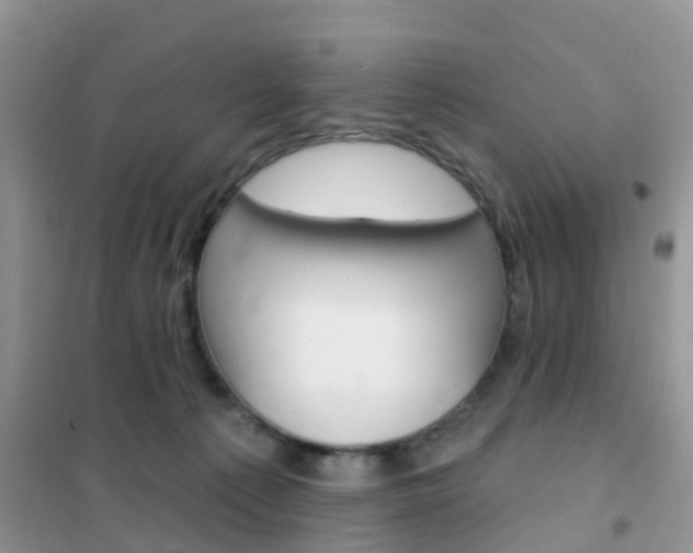 X0000102360225200808011007