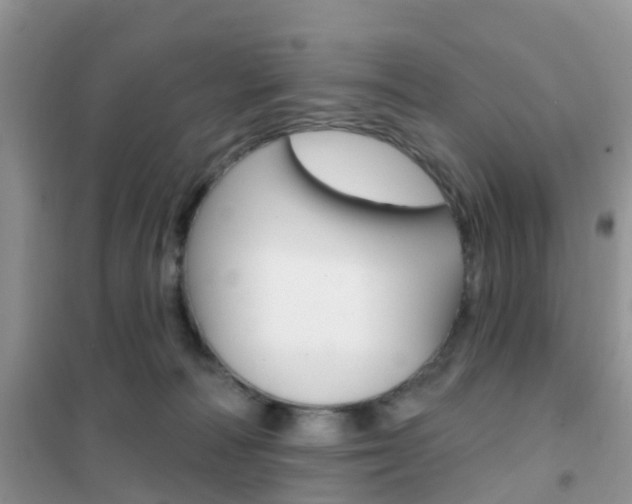 X0000102360226200808011007