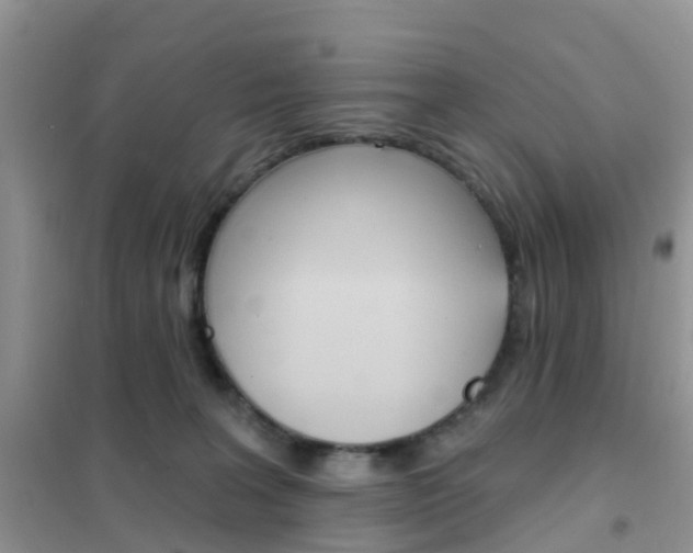 X0000102360227200808011007