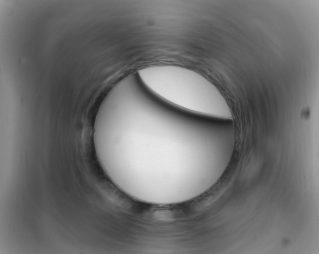 X0000102360228200808011007