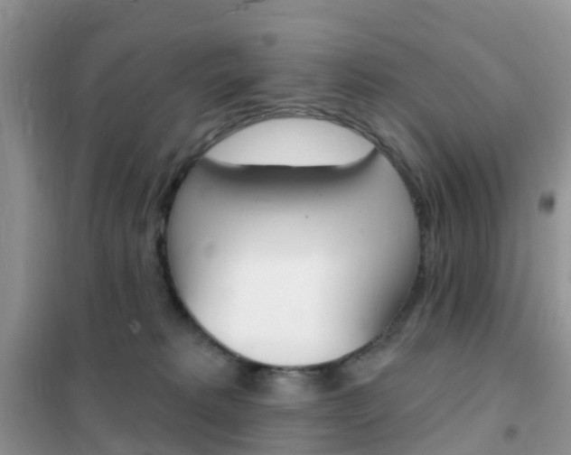 X0000102360229200808011007