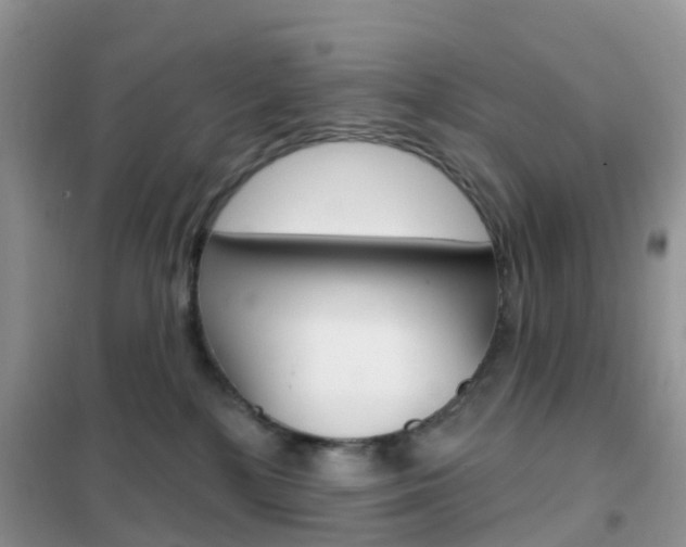 X0000102360232200808011007