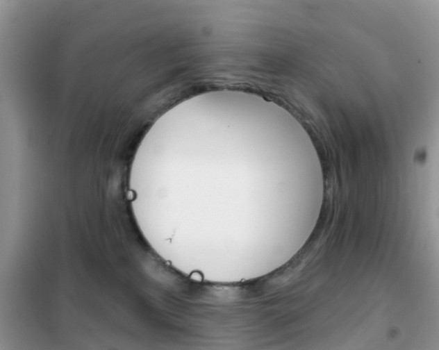 X0000102360233200808011007