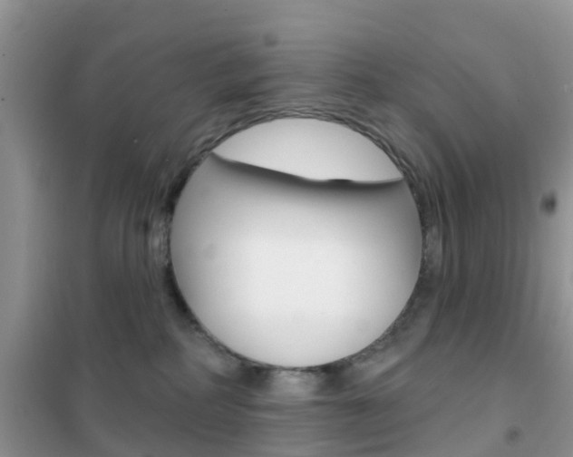 X0000102360234200808011007