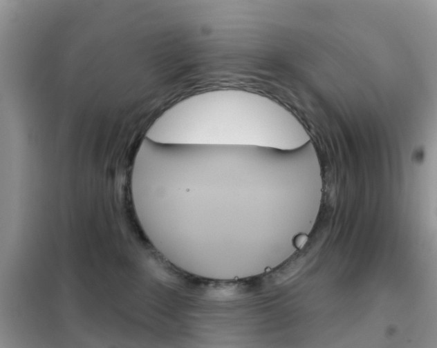 X0000102360235200808011007