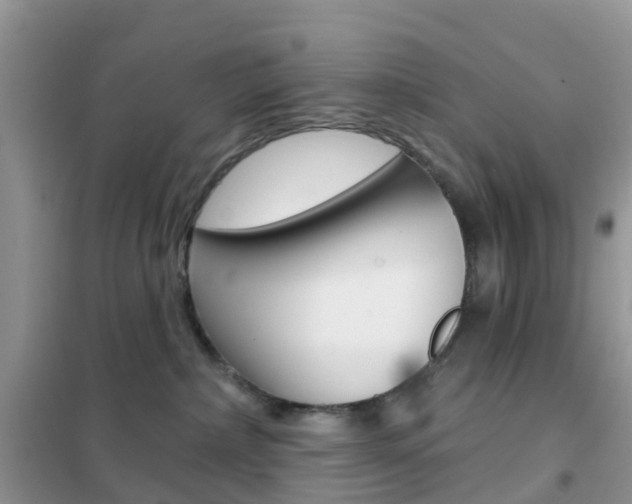 X0000102360236200808011007