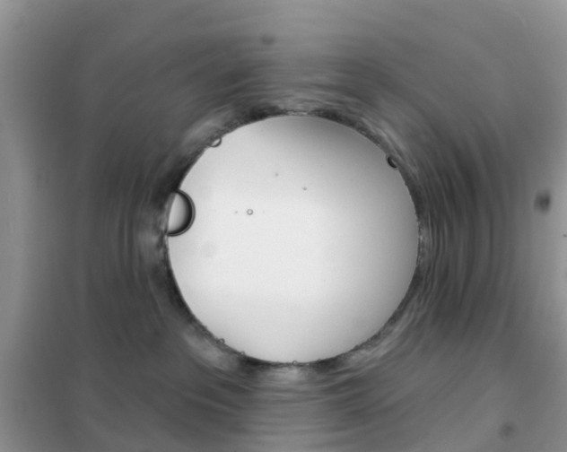 X0000102360237200808011007