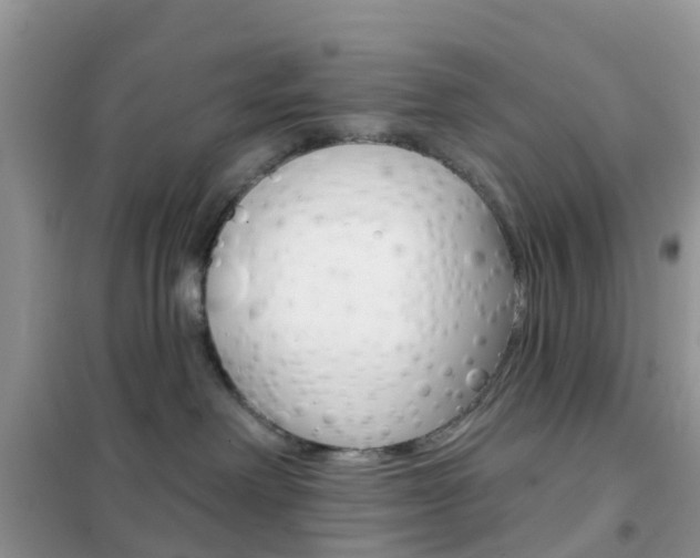 X0000102360238200808011007