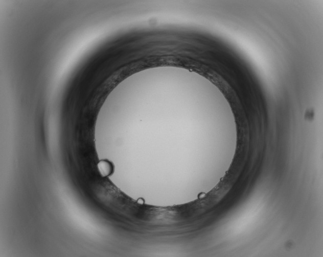 X0000102360239200808011007