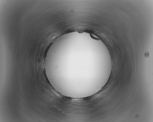 X0000102360240200808011007