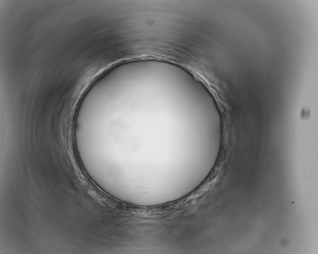 X0000102360241200808011006