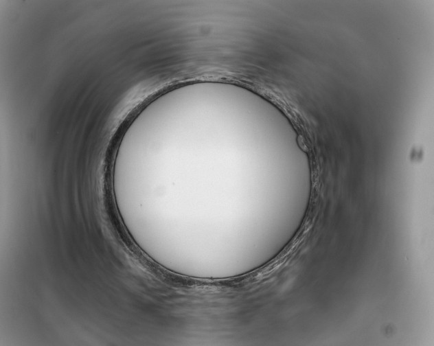 X0000102360242200808011006