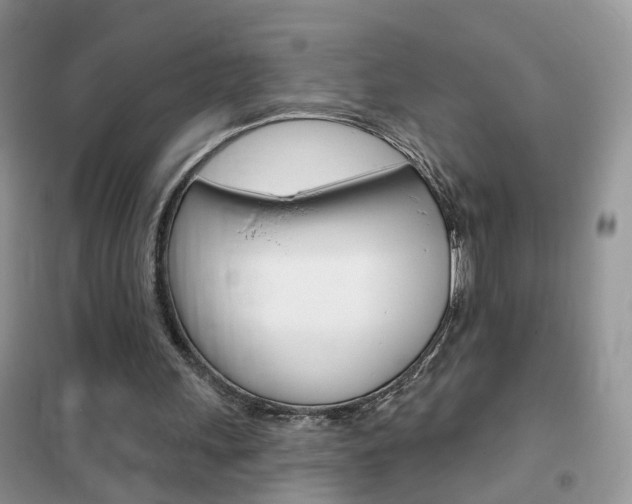 X0000102360243200808011006