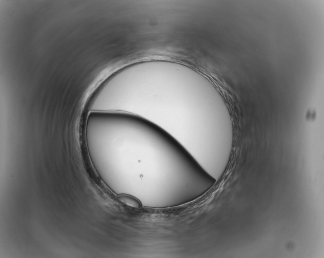 X0000102360244200808011006