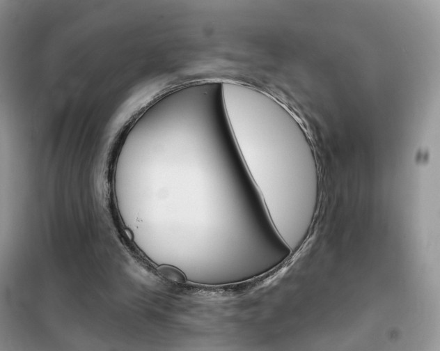X0000102360245200808011006
