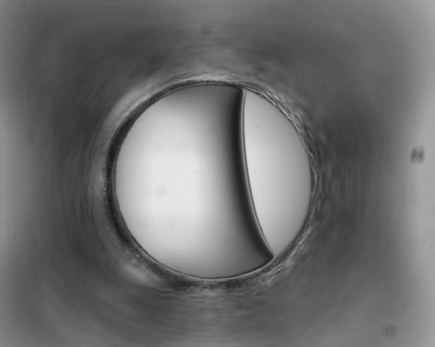 X0000102360247200808011006