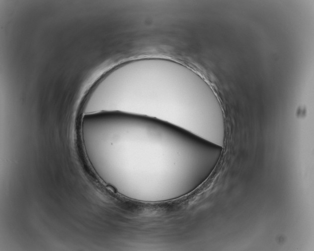 X0000102360248200808011006