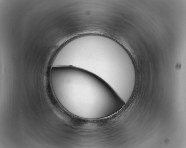 X0000102360252200808011006