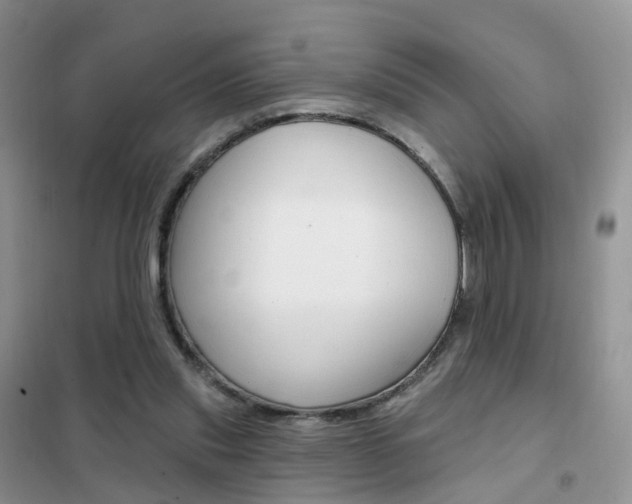 X0000102360253200808011006