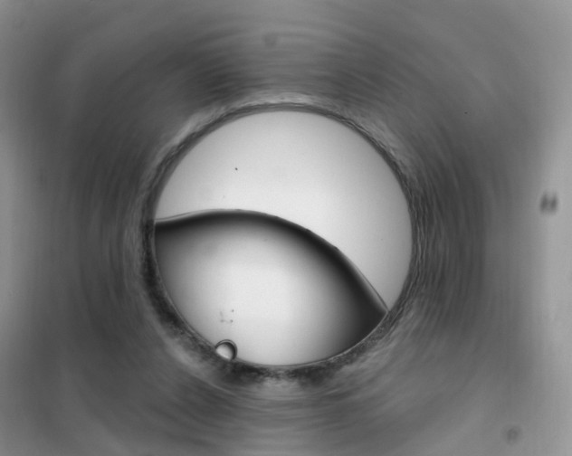 X0000102360256200808011006