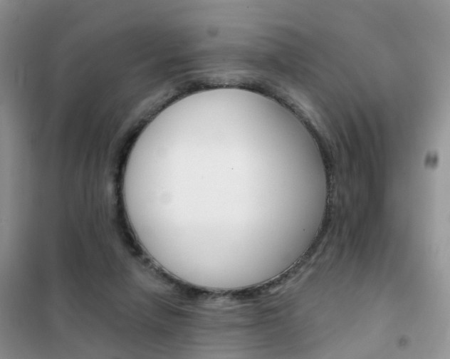 X0000102360258200808011006