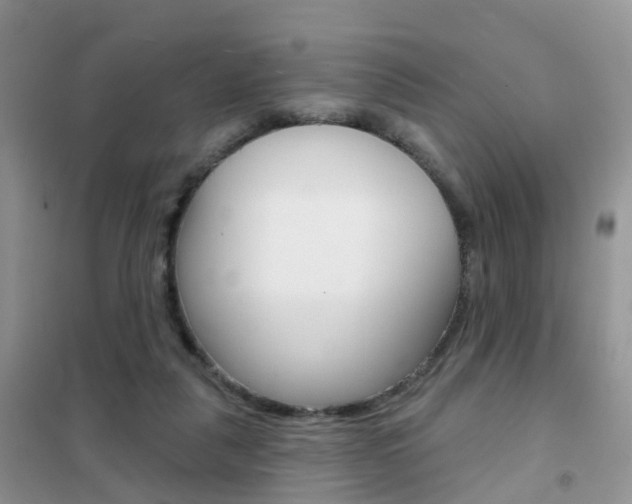 X0000102360259200808011006