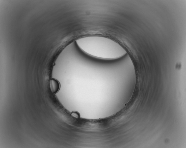 X0000102360260200808011006