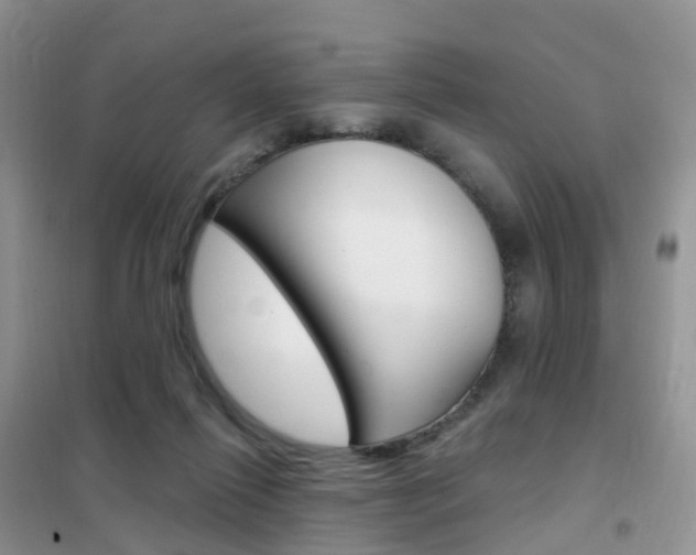 X0000102360262200808011006