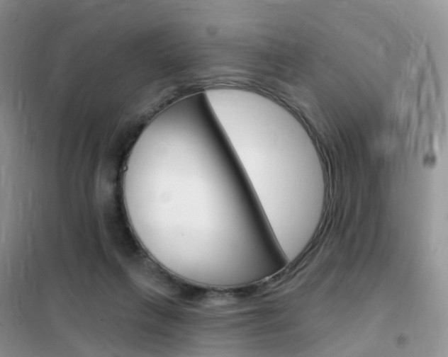 X0000102360263200808011006