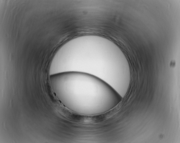 X0000102360264200808011006