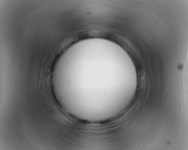 X0000102360266200808011006