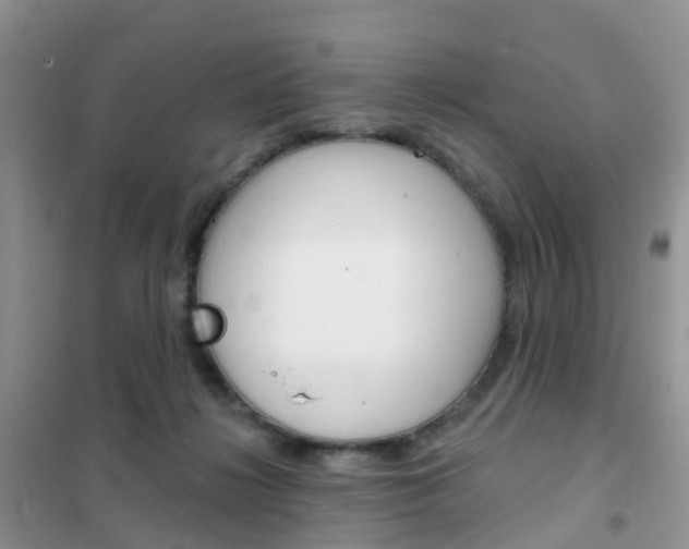 X0000102360268200808011006