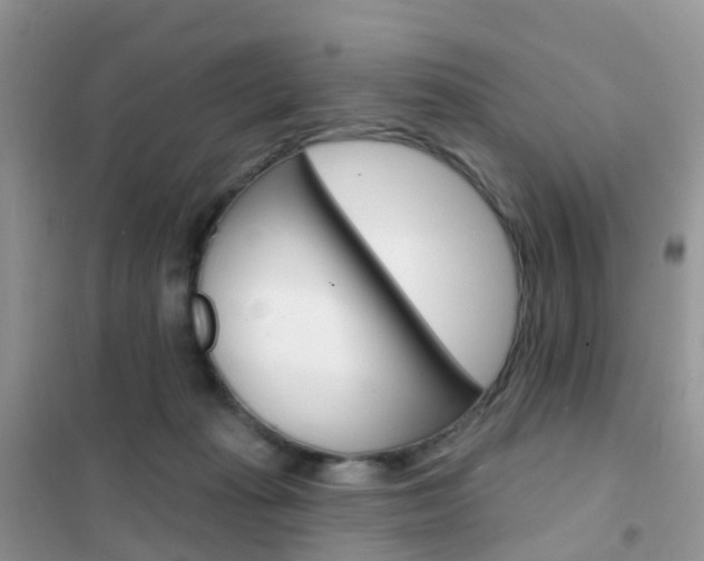 X0000102360269200808011006