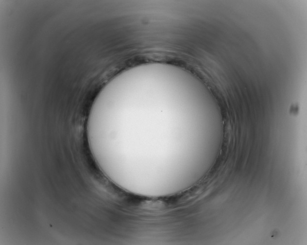 X0000102360271200808011006