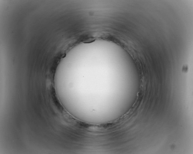 X0000102360272200808011006