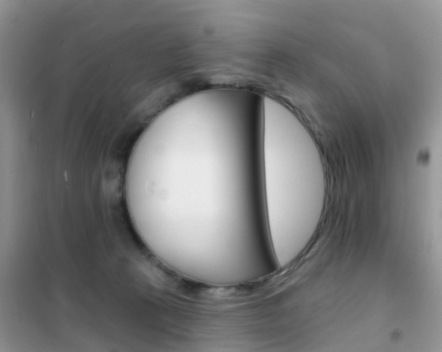 X0000102360273200808011006