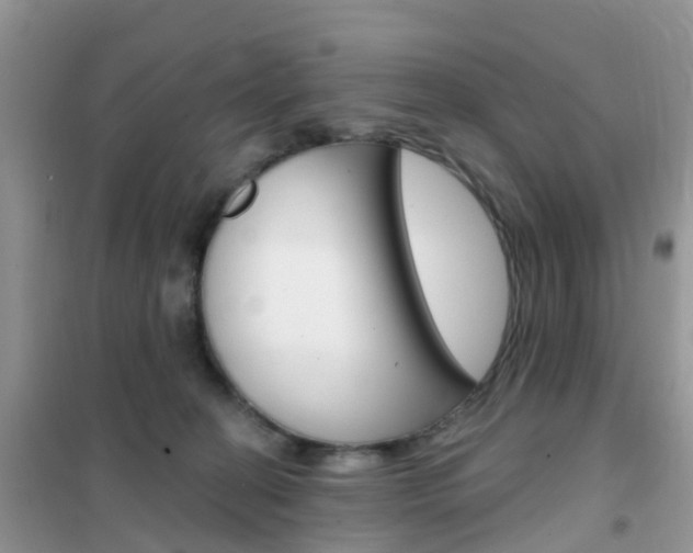X0000102360274200808011006